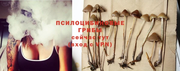 хмурый Новодвинск