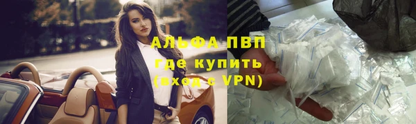 сатива Балахна