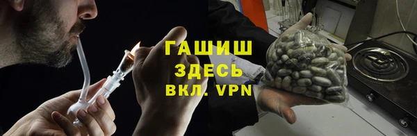 сатива Балахна