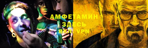 сатива Балахна