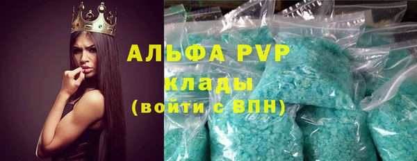 сатива Балахна