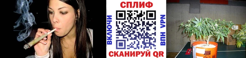 Бошки марихуана SATIVA & INDICA  купить наркотики цена  Белореченск 